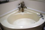 Master bath with soaking tub
